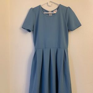 Large Lularoe Amelia